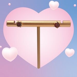 Nwot 18k Rose Gold Plated Stud Earrings with Red Stones By Pretty Bird